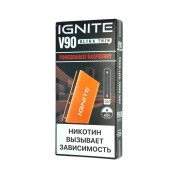 IGNITE V 90 9000 Гранат малина 2%