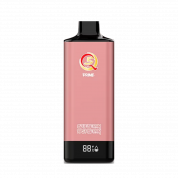 Q5 PRIME 12000 Черника малина 2%