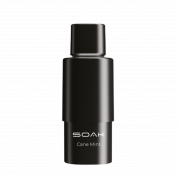 Картридж SOAK Тростниковая мята (упак. 2 шт) 2%