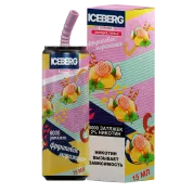 ICEBERG XXL 6000 Фруктовое мороженое 2%