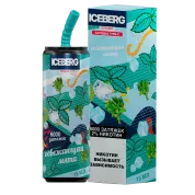 ICEBERG XXL 6000 Освежающая мята 2%